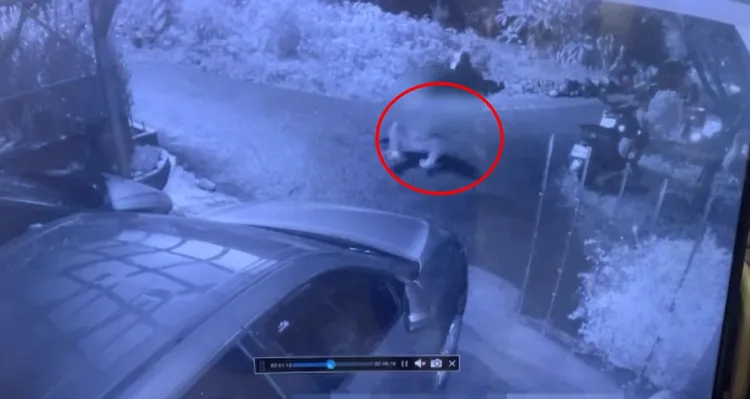 竊賊逃逸時還一度因路面濕滑跌倒。警方提供