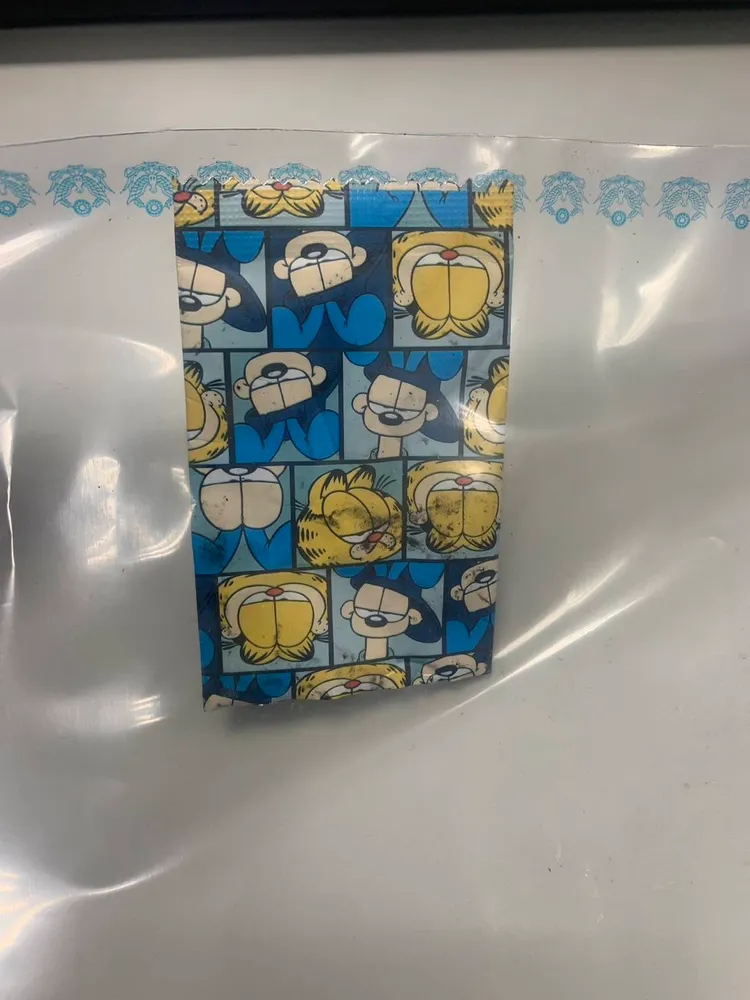 陳嫌行竊之公仔。翻攝畫面