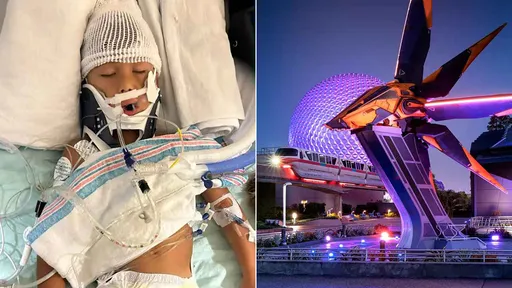 坐迪士尼雲霄飛車20秒 5歲男童呼吸心臟驟停昏迷