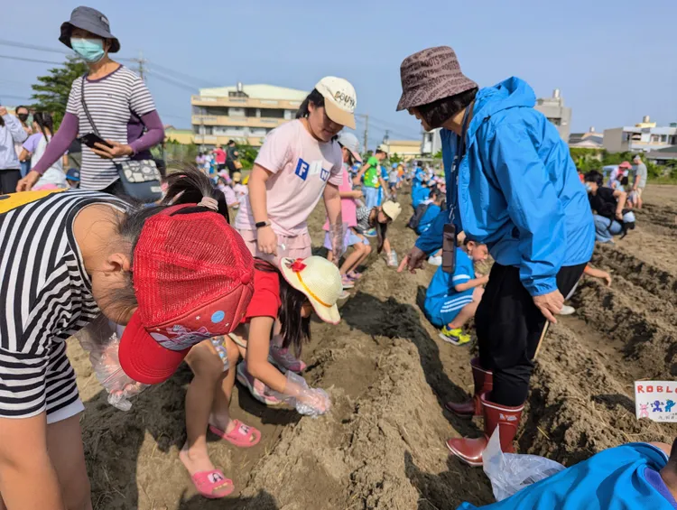 兆湘國小從幼兒園到六年級、家長校友，大家一起挽袖下田種蘿蔔。教育局提供