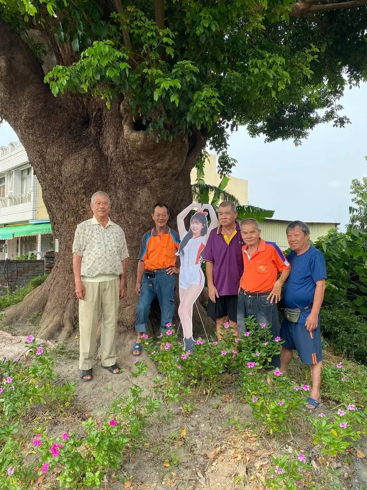 永靖鄉永北村的老茄苳樹被稱為「李多慧樹」，成為新打卡景點。成美文化園提供