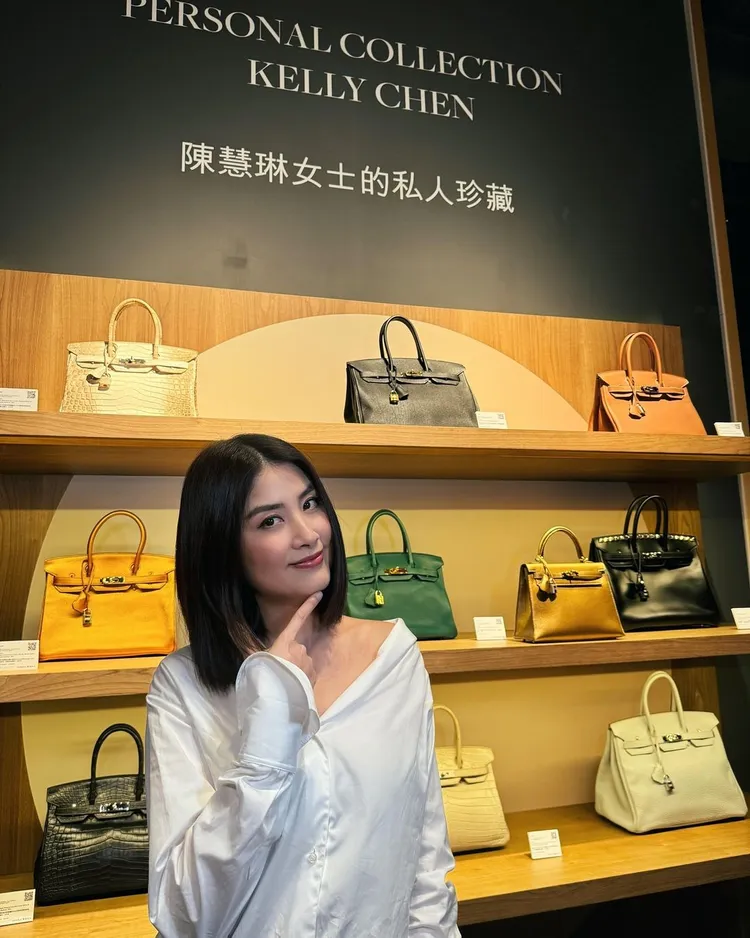陳慧琳一次賣掉10只愛馬仕包包，包括喜馬拉雅包（左上），向它們告別。翻攝陳慧琳IG