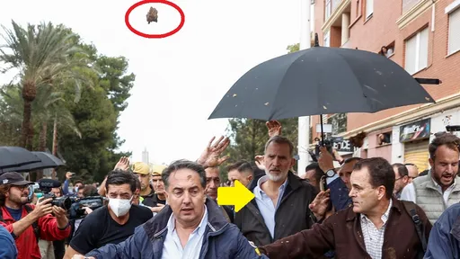 超過200人喪生!西班牙國王親至毀滅性洪區勘災 遭丟擲「超大坨」爛泥影片曝光