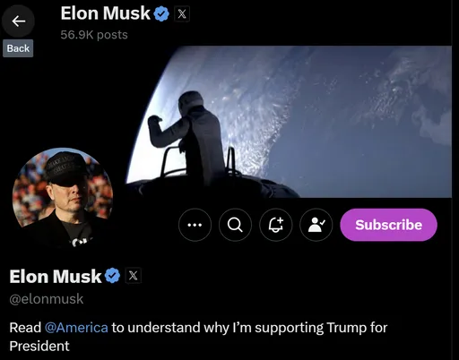 是他!馬斯克成假消息慣犯 近百篇不實貼文吸引20億瀏覽