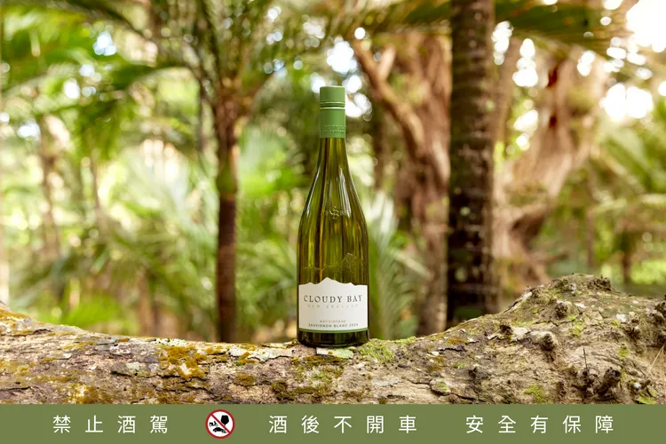 每一瓶雲霧之灣白蘇維濃白酒的風味雋永非凡，散發獨特魅力。業者提供