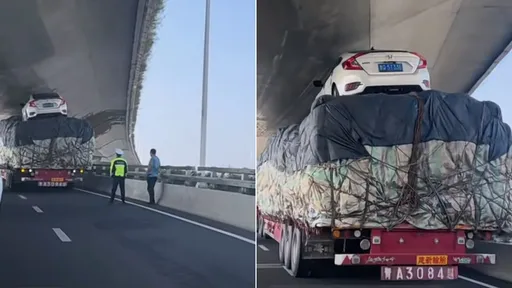 轎車站在貨車頂撞高架橋 眾人都懵了:怎麼上去的?