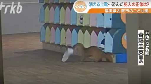 連黃鼠狼都來搶! 福岡幼稚園「鞋子連環失竊」真相曝光