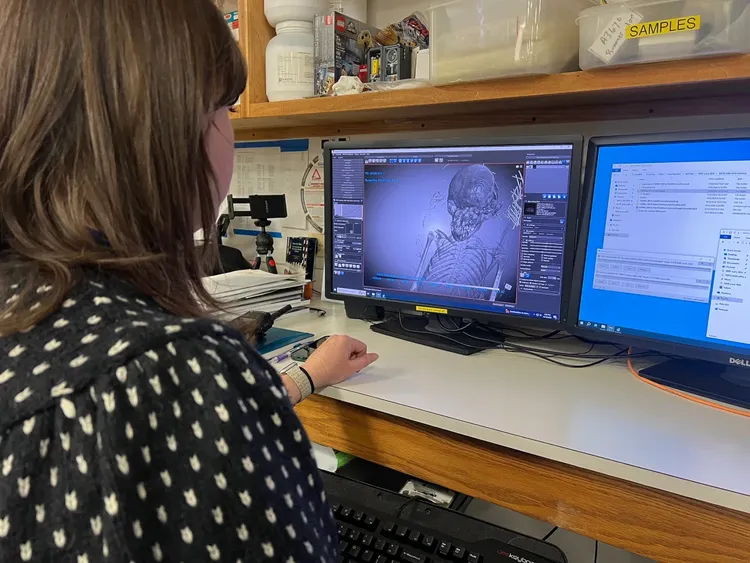 科學家透過CT掃描，能解析裹在亞麻布底下的木乃伊諸多細節。翻攝Field Museum