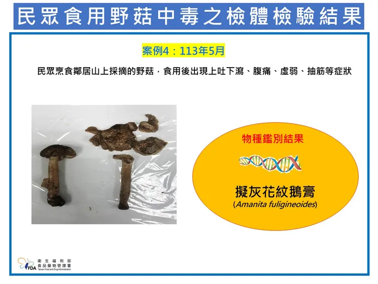 民眾食用野菇之檢體結果。食藥署提供