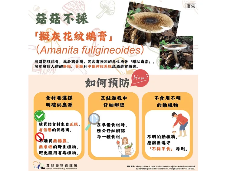 有毒野菇說明示意圖。食藥署提供