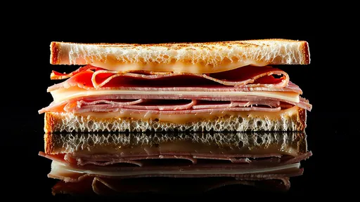 飛機370元三明治噁心到她拒付款 結果就被武裝警察逮捕了