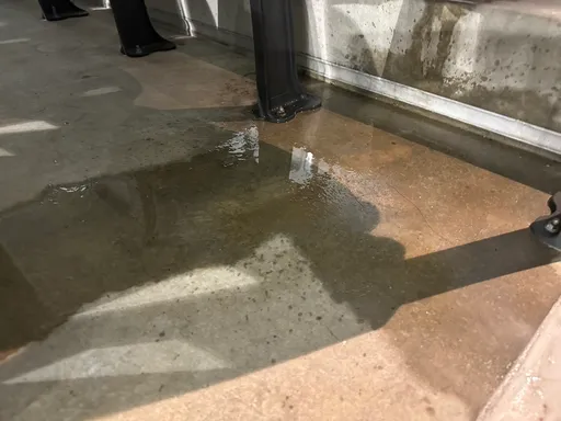 大巨蛋漏水又積水「遠雄補漏效果零」 議員轟:北市府到底管不管?