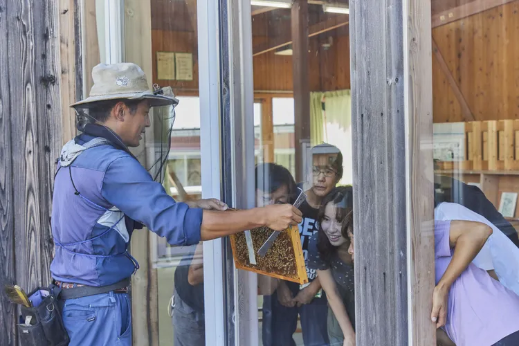 慢活千葉好感生活之旅，體驗當地養蜂活動。業者提供