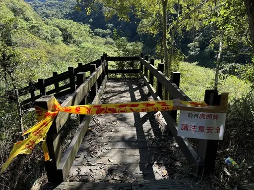 苗縣水雲瀑布虎頭蜂攻擊遊客 2男2女送醫