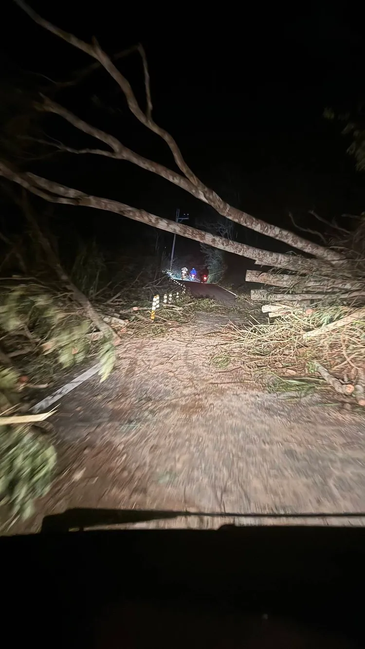 3青年拿鋸子鋸斷傾倒路樹，讓居民車輛可以下山求援。民眾提供