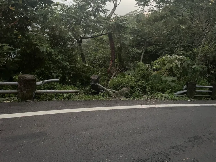 轎車沿著嘉130線下山，行經該路段時突然衝破護欄、墜入邊坡。民眾提供