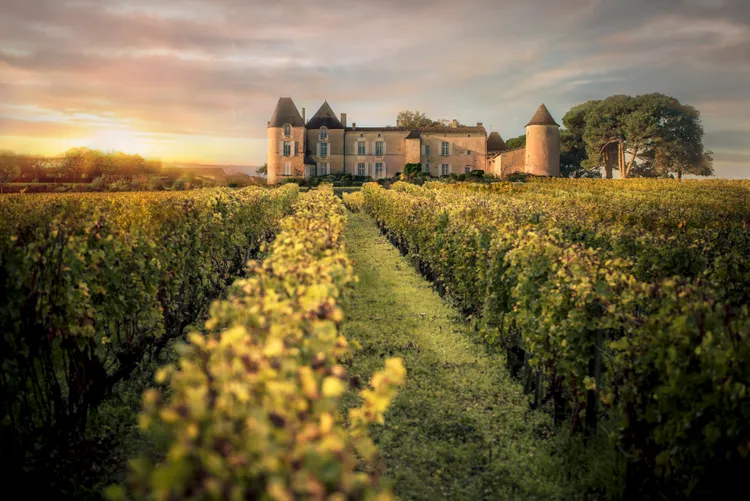 依肯酒莊。品牌提供