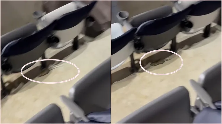 民眾在大巨蛋看到老鼠。翻攝自threads