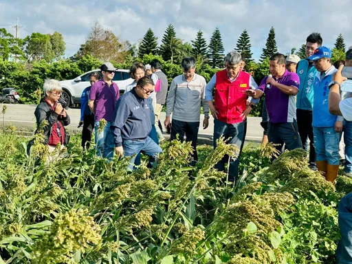 康芮掃台致高梁、大豆農損 桃市府爭取放寬天然災害現金救助