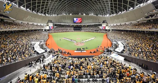 驚!明年大巨蛋只給中職打20場 6球團領隊:難以接受