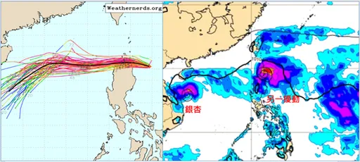 最新各國路徑！中颱銀杏轉西　專家：下週另有熱帶擾動