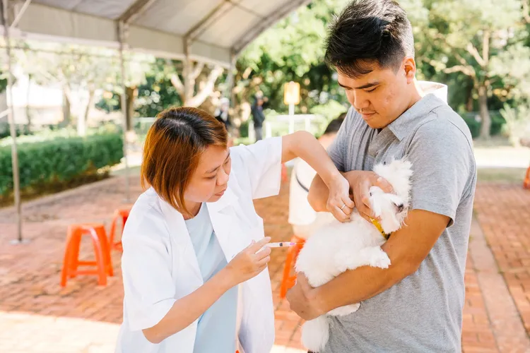 現場疫苗注射區，飼主與毛孩互動親密，展現動保的溫馨關懷。市府提供