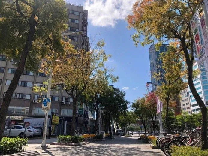 2024年終將近，天氣突然轉涼，西門町中華路的林蔭大道黃連木葉片也開始轉黃橘紅。北市公園處提供