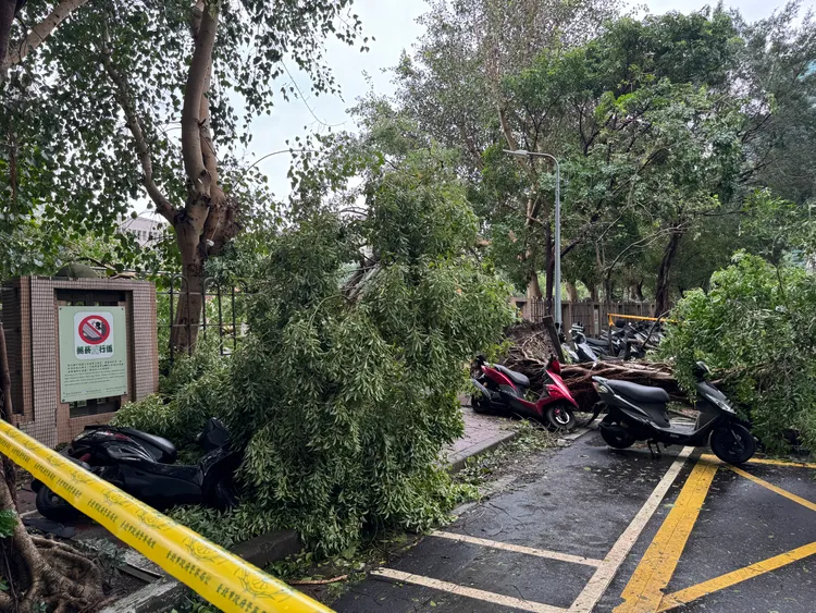 北市災損情況嚴重，南京東路三段282巷路樹傾倒。彭欣偉攝