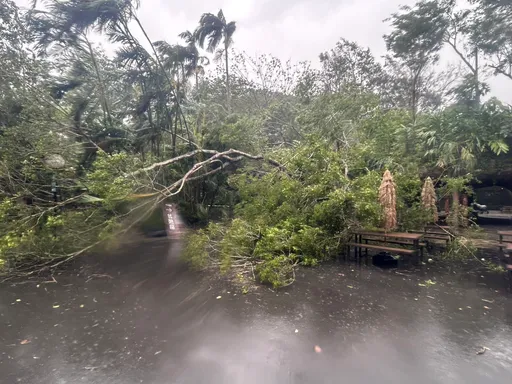 北市颱風災情高達3000件 動物園深夜急宣布休園:康芮造成多處災損