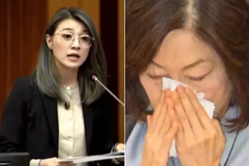 何佩珊哭訴願辭勞長 綠議員痛批「鱷魚的眼淚」籲修法