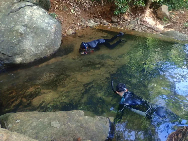 研究團隊在野外趴溪。中山大學提供
