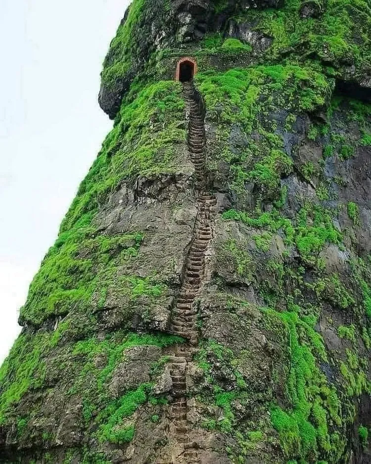 奇陡無比的階梯。翻攝自臉書社團