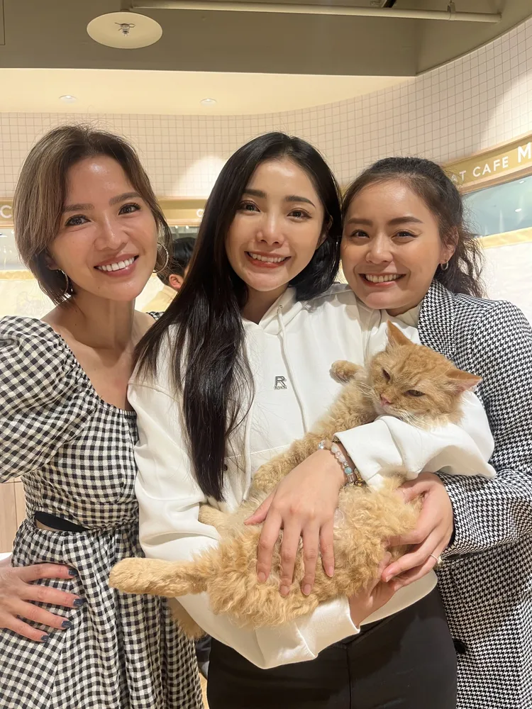 胡嘉愛（左起）、楊淨宇、方琦開心到咖啡廳嚕貓。民視提供