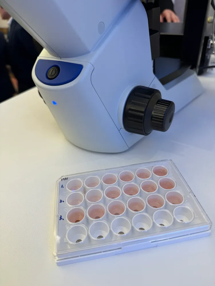 昆凌擔任三顧公司iPSC技術的推廣大使，實際採血進行培養。彭欣偉攝