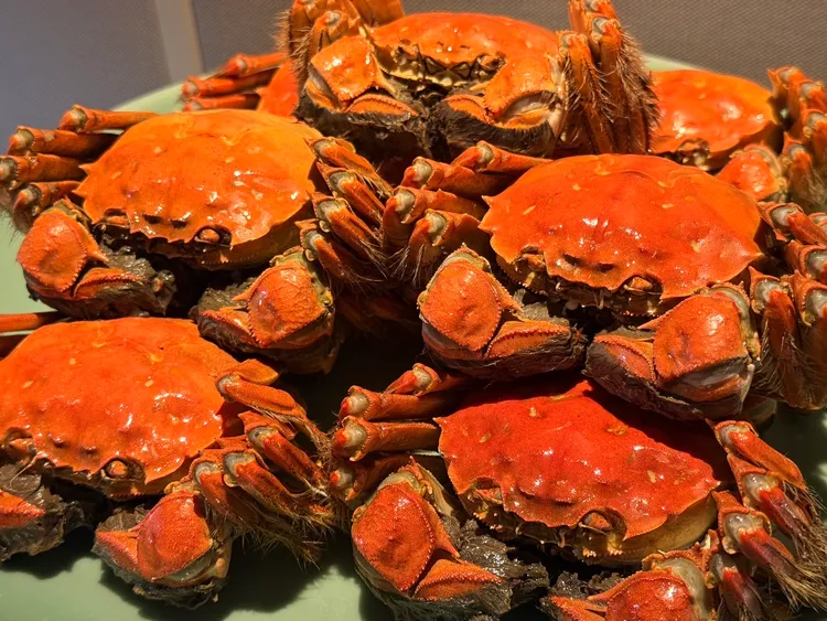 天香樓江南海河蟹饗宴其中包括安徽女山湖八兩大閘蟹，11月進入盛產。陳揚盛攝