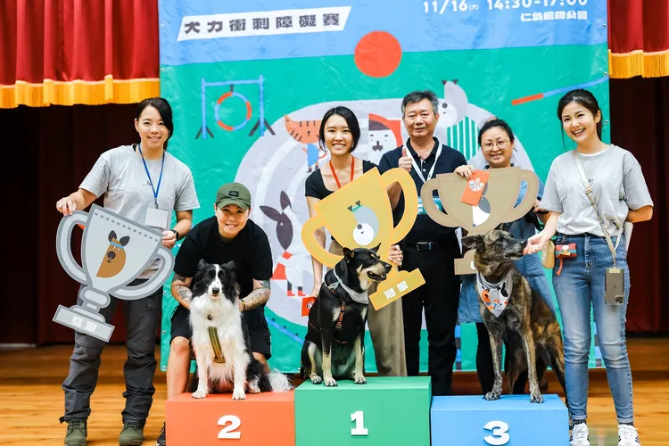 中大型犬組冠軍米克斯「荳荳」。動保處提供