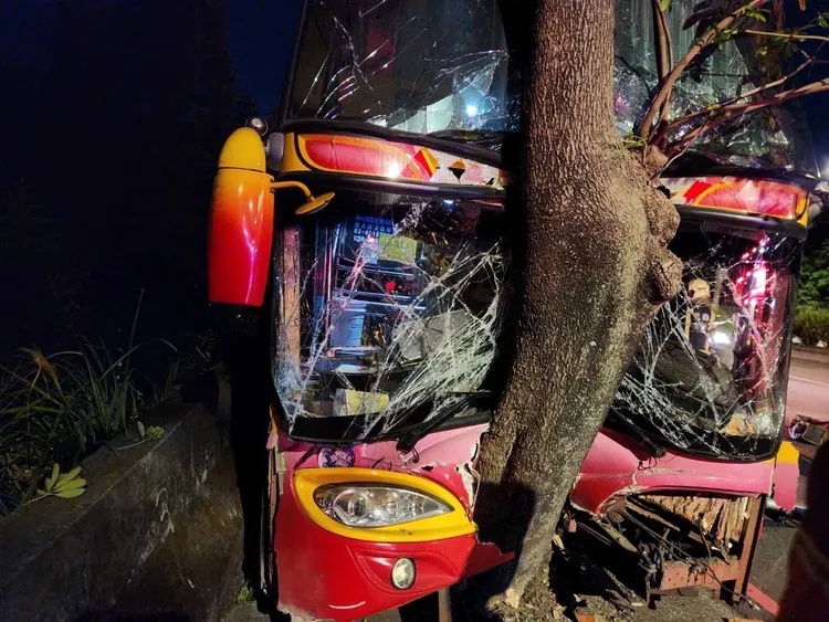 車頭凹陷包裹住路樹。桃園市消防局提供