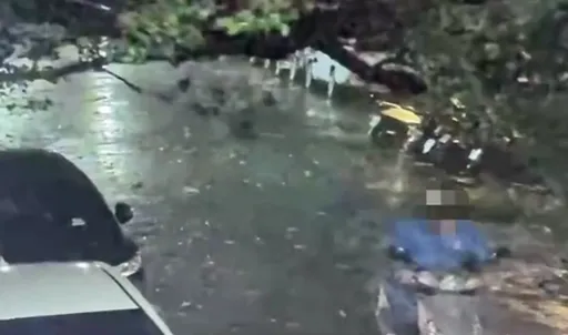 北市1死!康芮強風連樹帶電線桿吹垮 騎士經過遭滅頂!驚悚影片曝光