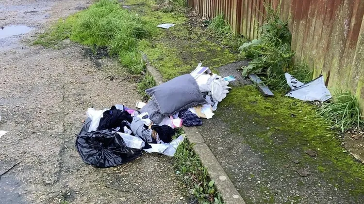 艾碧蓮家門外垃圾袋遭扯開，其中一袋更被偷走。翻攝自《紐約郵報》