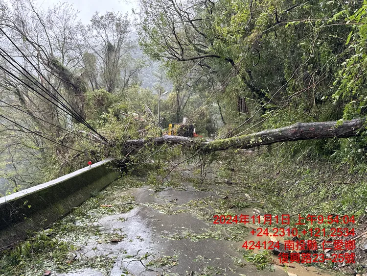 台8線86K處倒木阻斷交通。谷關工務段提供