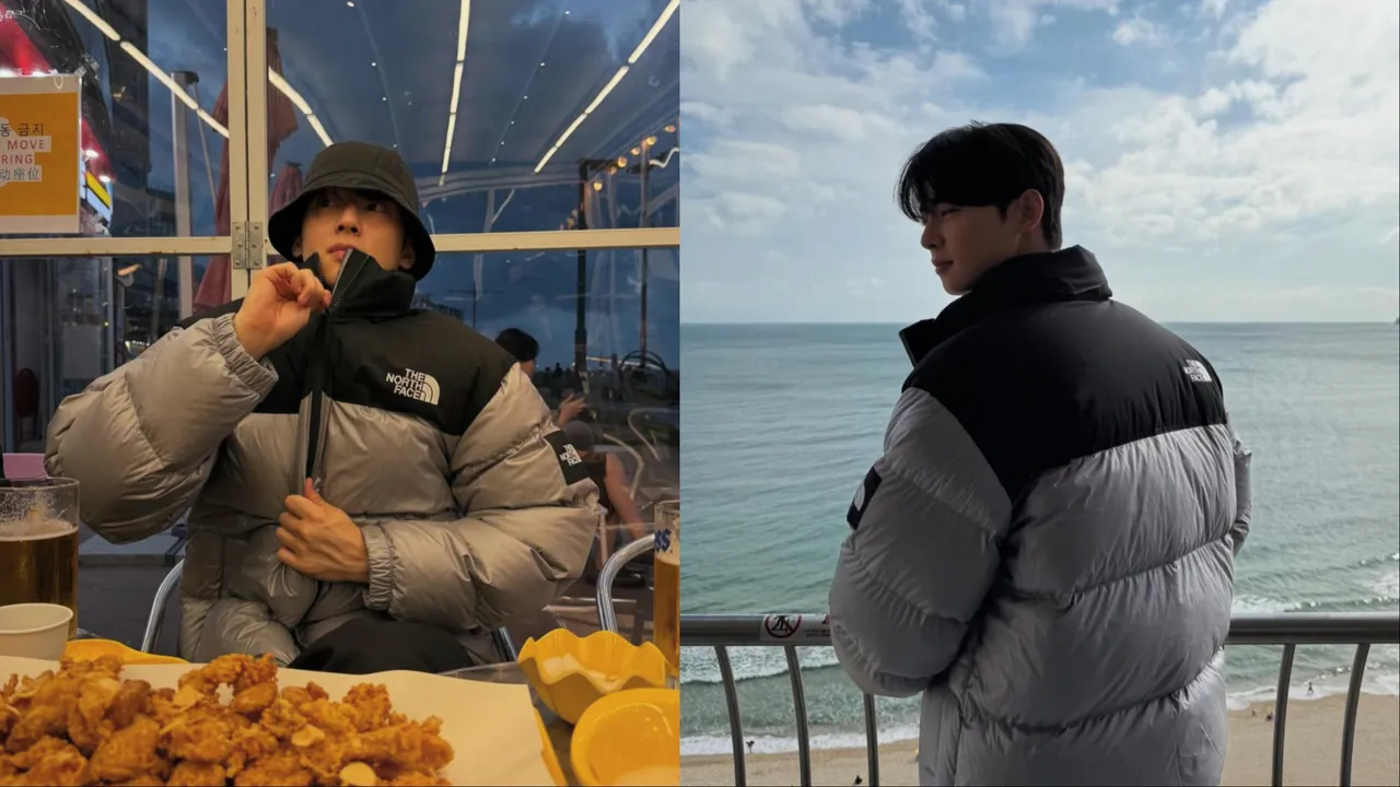 車銀優搭配多款The North Face羽絨服。翻攝車銀優IG