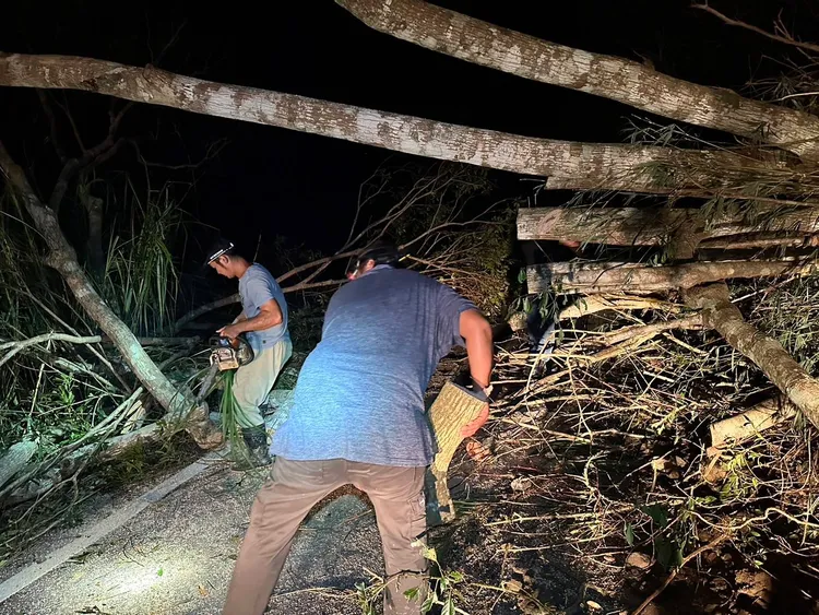 山上青年持鋸子砍倒伏大樹清出一條可以下山逃難求援的路。民眾提供