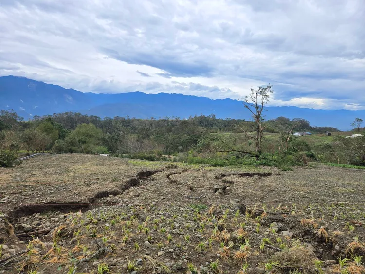 金針花田慘變河道。李光濱攝