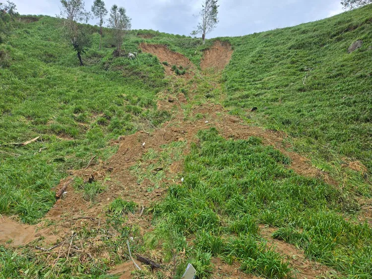最大金針花田區被河道貫穿金針園整片滑落。李光濱攝