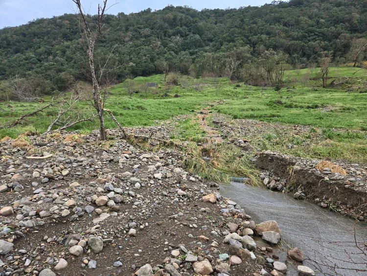 金針花田被土石流淹沒切割成兩半。李光濱攝