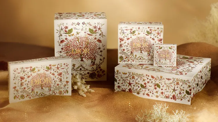 DIOR聖誕限定包裝。品牌提供