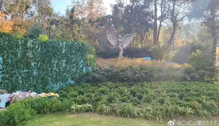 現在的李玟紀念園被大片植栽覆蓋，歌迷獻花被迫放在角落。翻攝CoCo棠0117微博