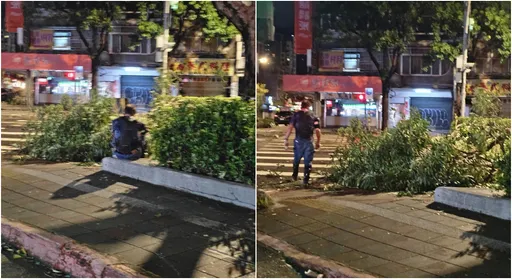 無名英雄深夜清路樹 「體力用盡」坐路邊!他目睹感動泛淚