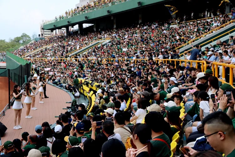 高雄市國高中生可用銅板價看職棒。運發局提供