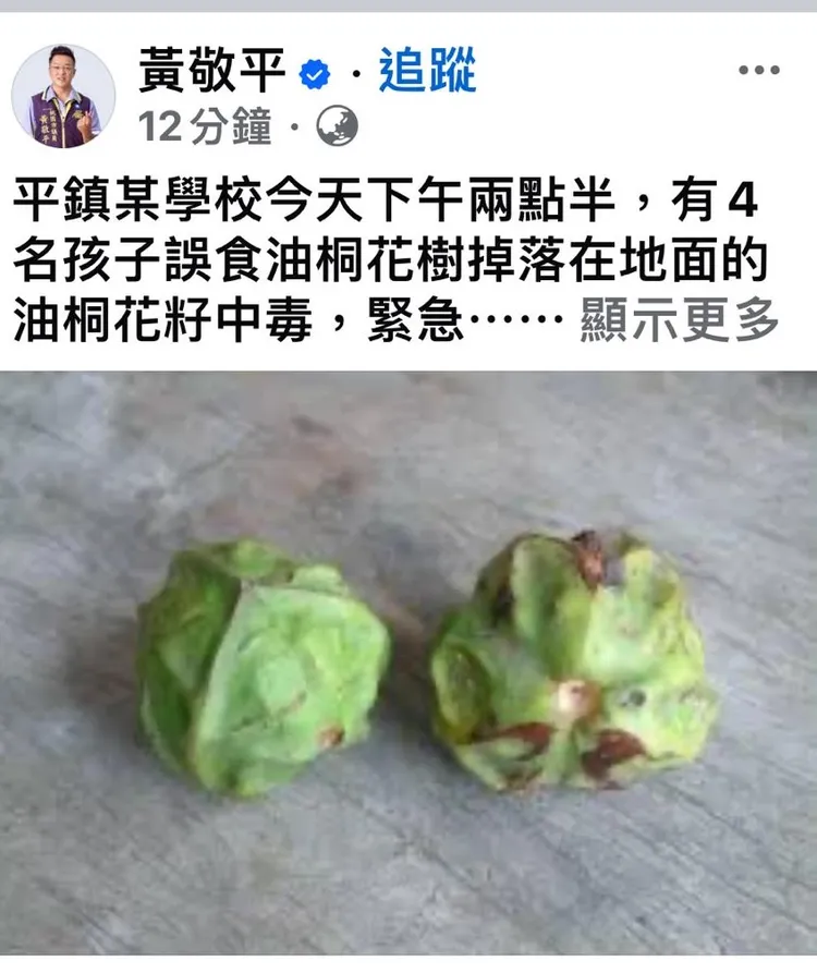 黃敬平臉書發文。翻攝黃敬平臉書